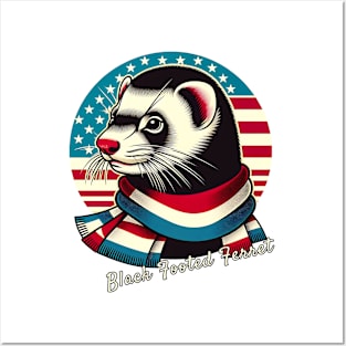 American endemic Animals: black  footed Ferret Posters and Art